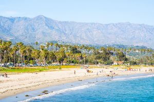 does santa barbara beach allow dogs