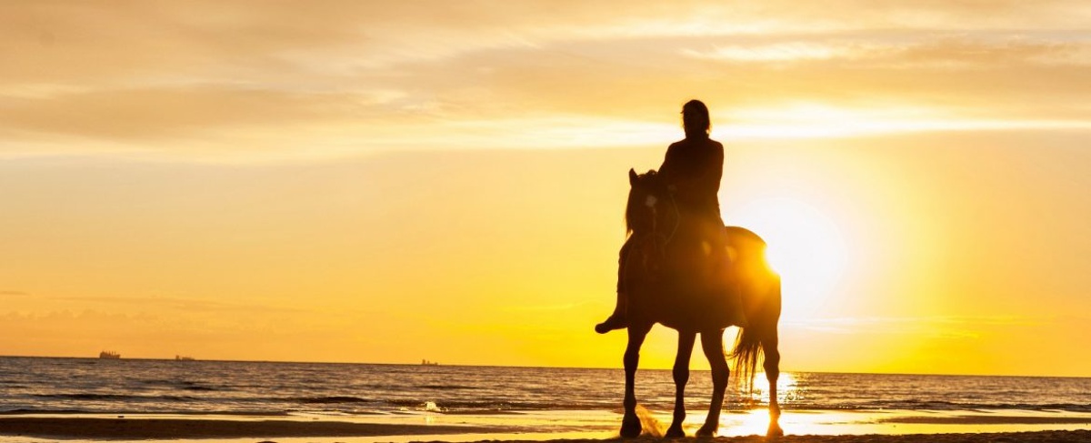 Man horseback riding along the beach at sunset