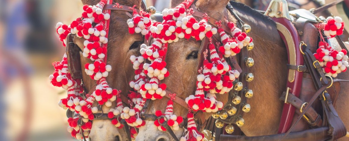 decorated horses at old spanish days santa barbara